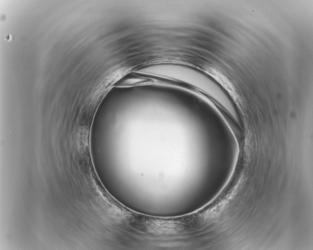 X0000087060849200704251027