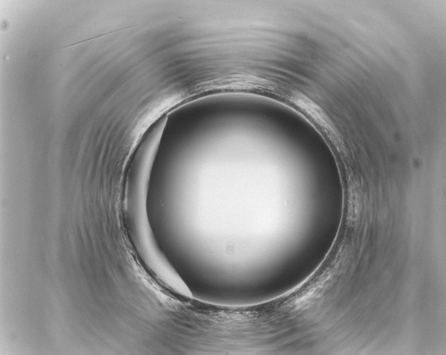 X0000087060850200704251027