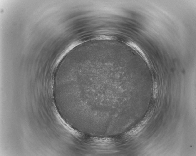 X0000087060851200704251027