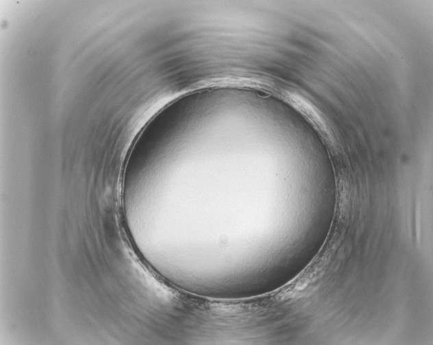 X0000087060852200704251027