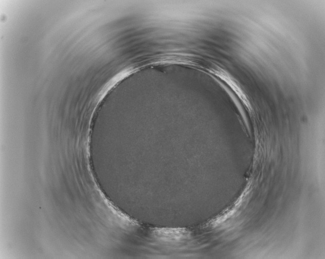 X0000087060853200704251027