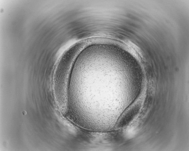 X0000087060854200704251027