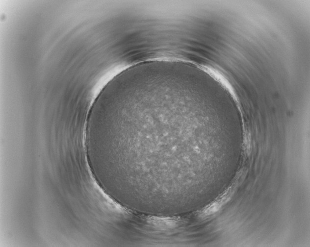 X0000087060855200704251027