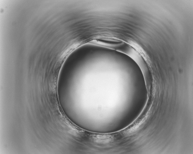 X0000087060857200704251027