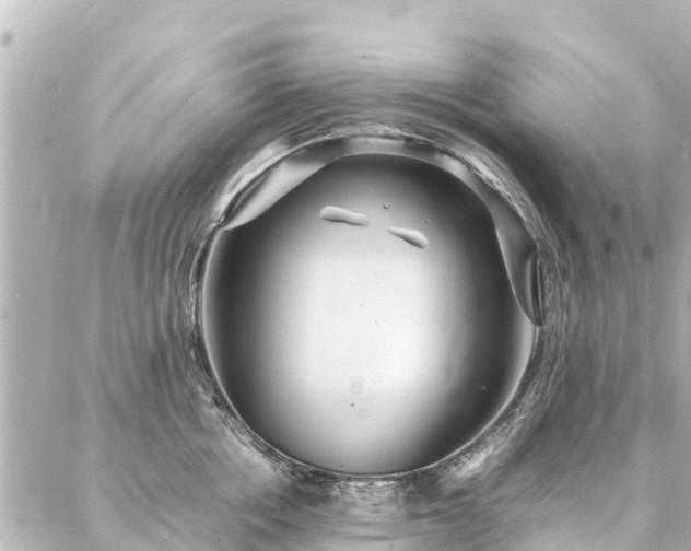 X0000087060858200704251027