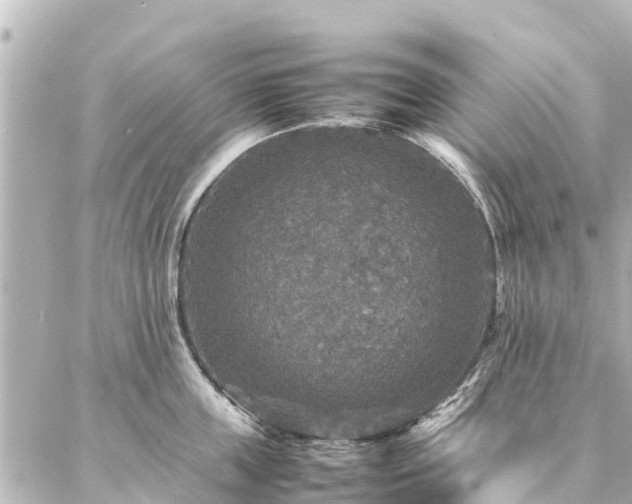 X0000087060859200704251027