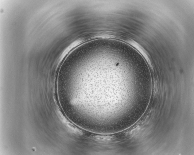 X0000087060861200704251027