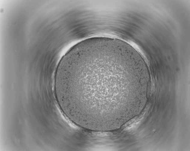 X0000087060862200704251027