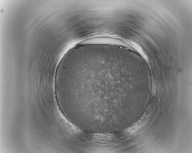 X0000087060863200704251027