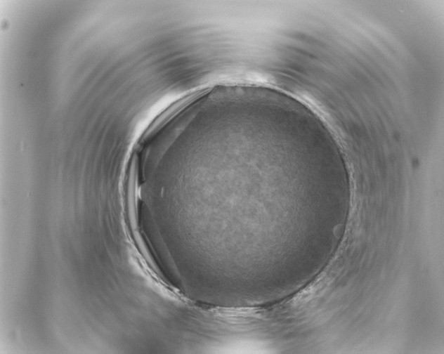 X0000087060864200704251027