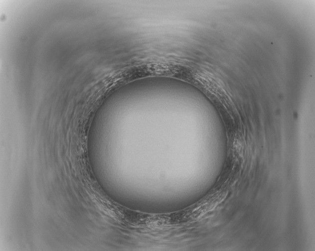 X0000087060865200704251027