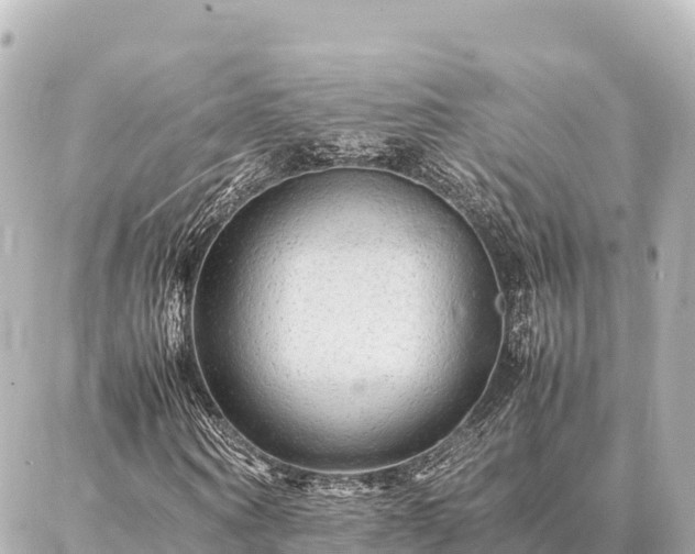 X0000087060866200704251027