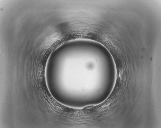 X0000087060867200704251027