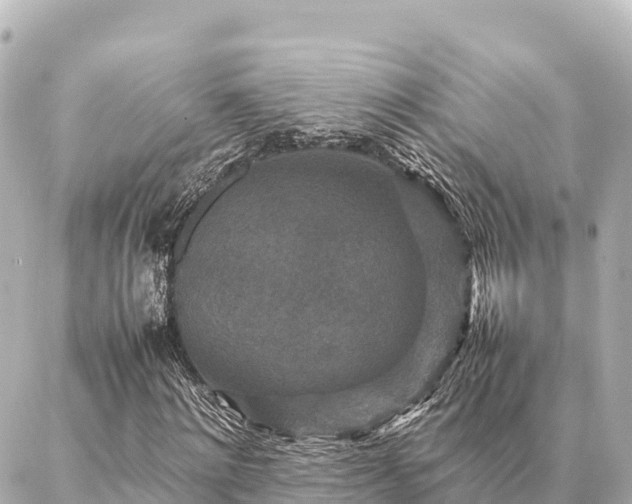 X0000087060868200704251027