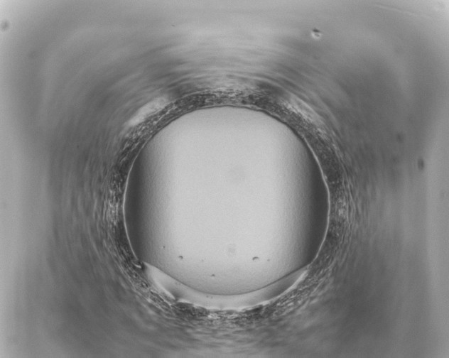 X0000087060869200704251027