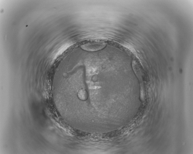 X0000087060871200704251027