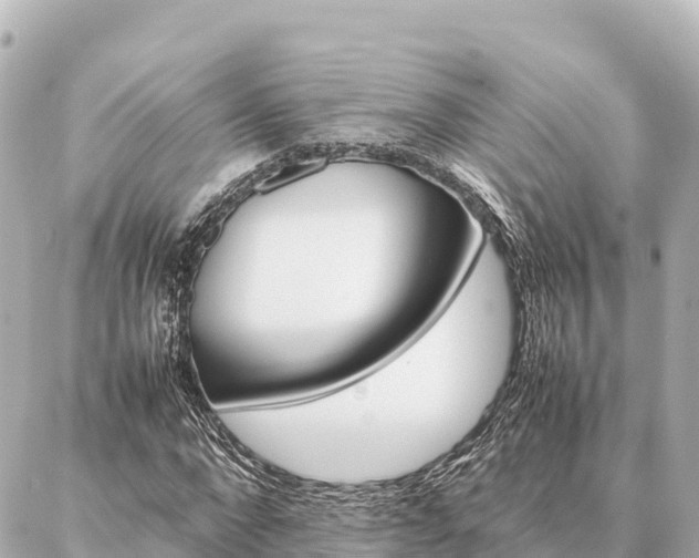 X0000087060872200704251026