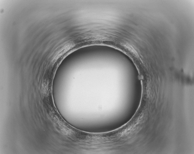 X0000087060873200704251026