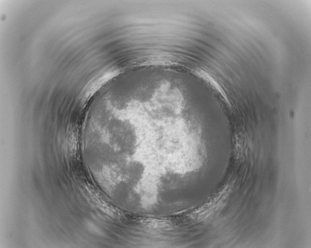 X0000087060874200704251026