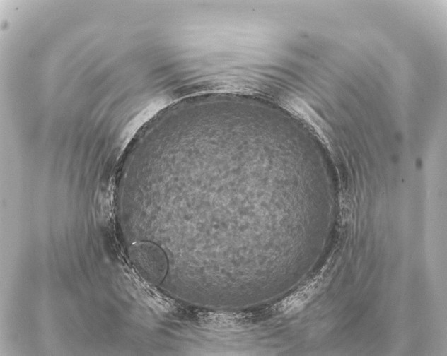 X0000087060875200704251026