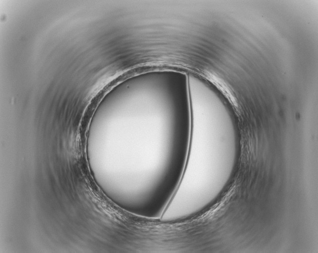 X0000087060876200704251026