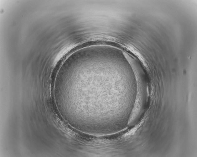 X0000087060877200704251026