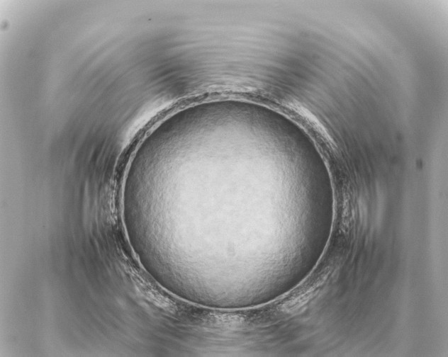 X0000087060878200704251026