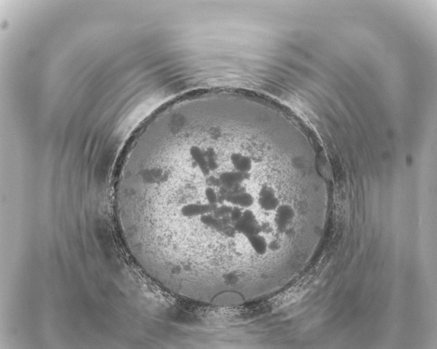 X0000087060879200704251026