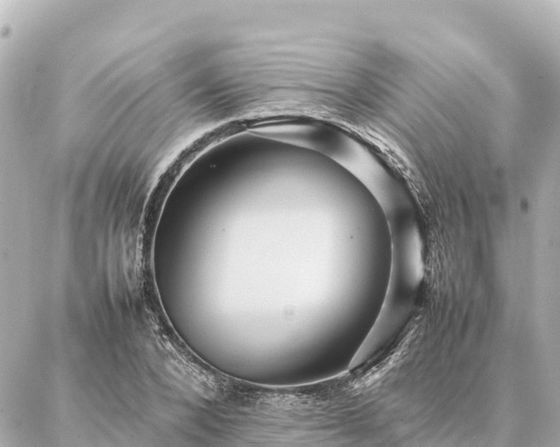 X0000087060880200704251026