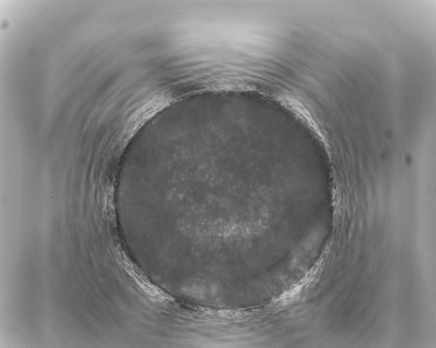 X0000087060881200704251026