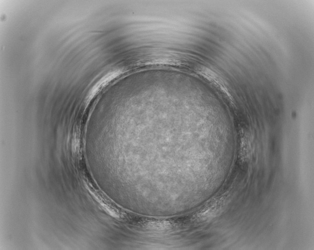 X0000087060882200704251026