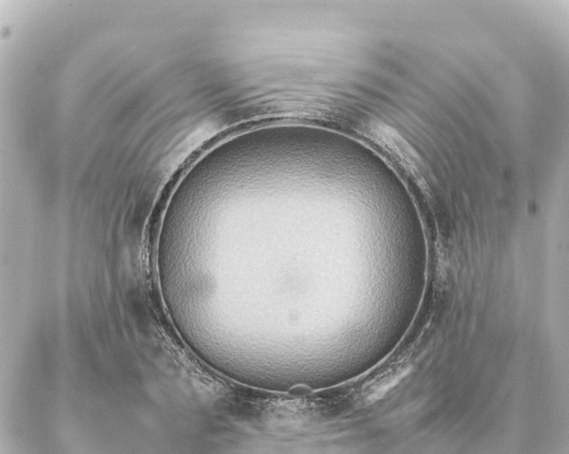 X0000087060883200704251026