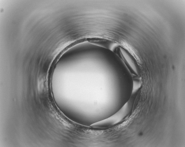 X0000087060884200704251026