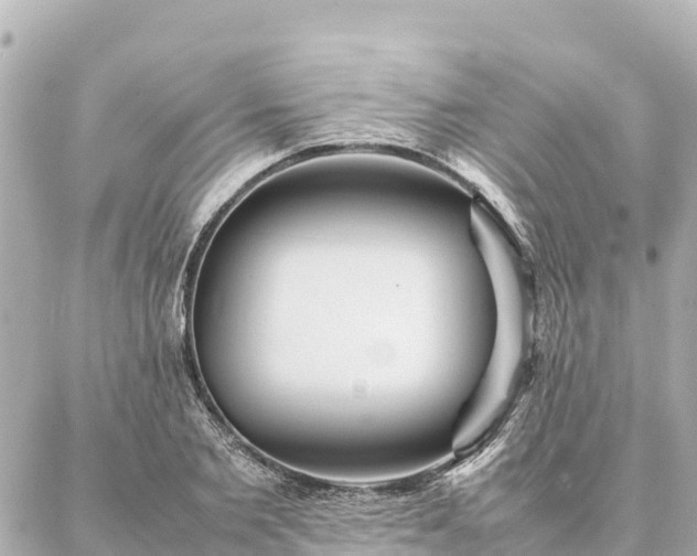 X0000087060885200704251026