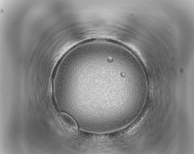 X0000087060887200704251026