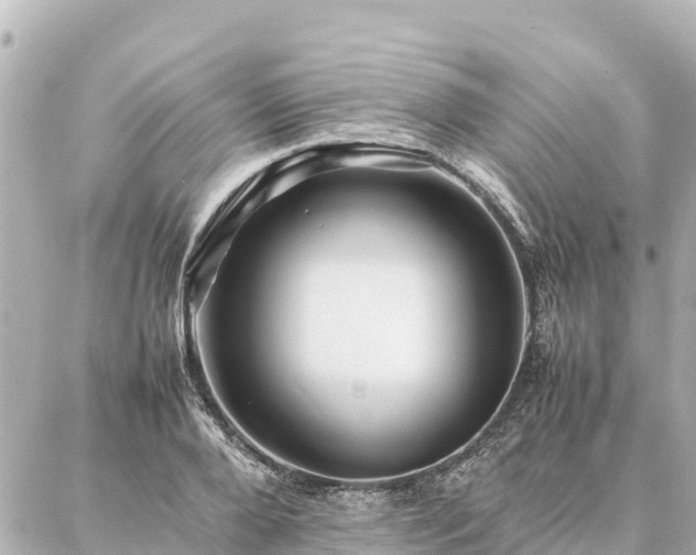 X0000087060888200704251026