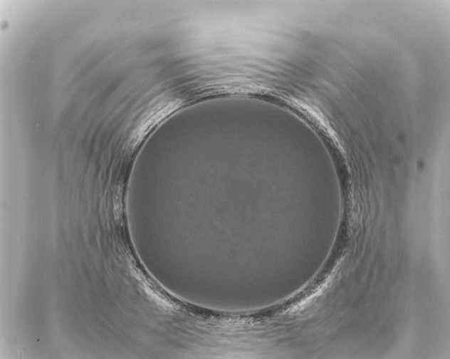 X0000087060889200704251026