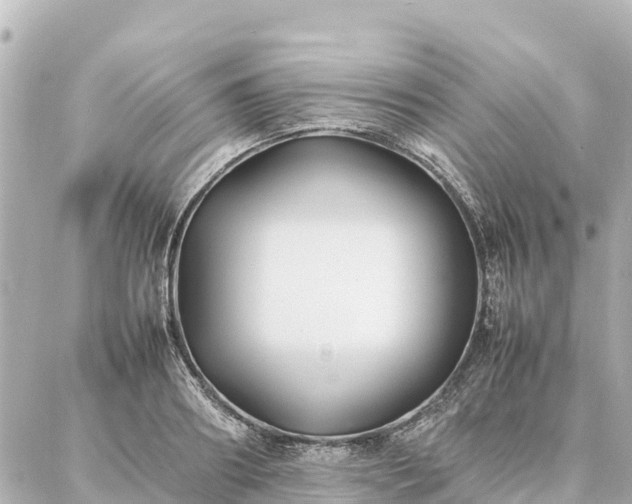 X0000087060890200704251026