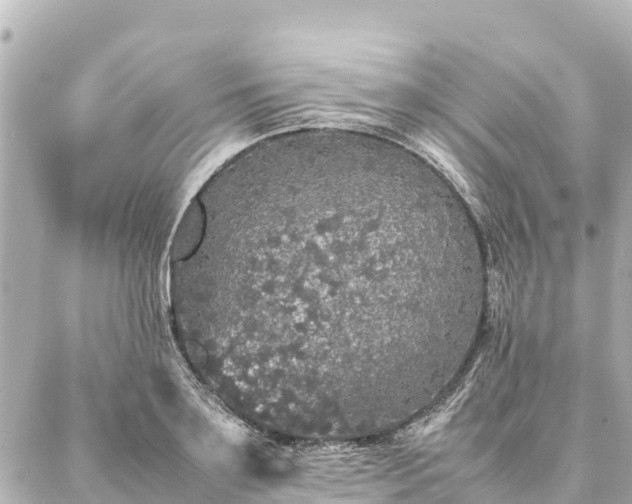 X0000087060891200704251026