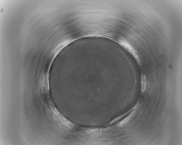 X0000087060892200704251026