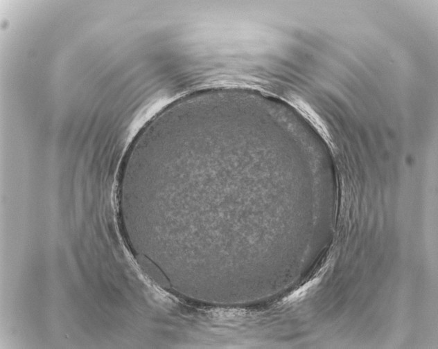 X0000087060893200704251026