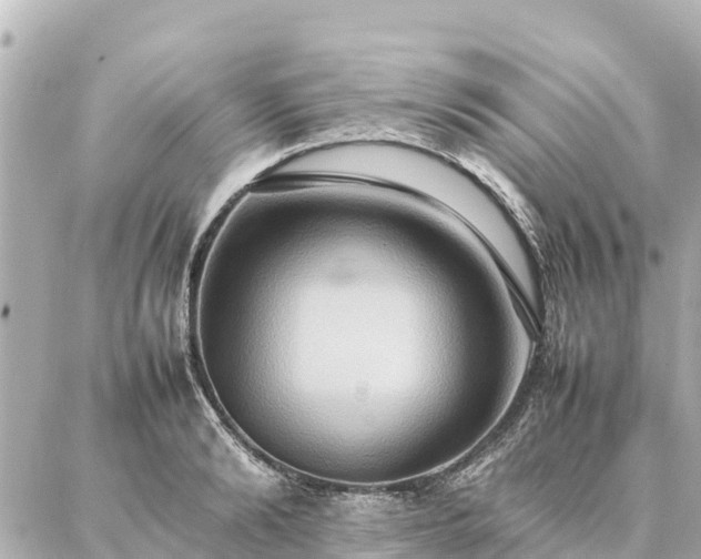 X0000087060894200704251026