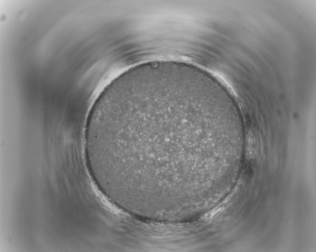 X0000087060895200704251026