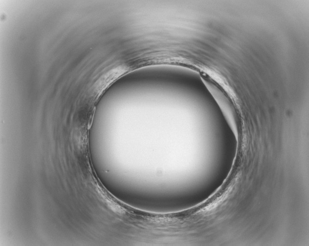 X0000087060897200704251026