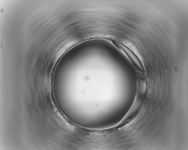 X0000087060898200704251026