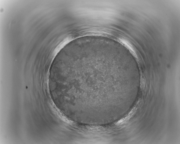 X0000087060899200704251026