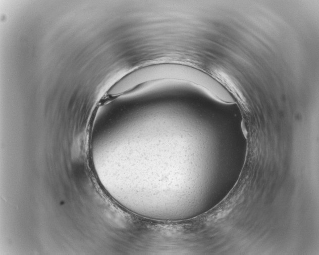 X0000087060900200704251026