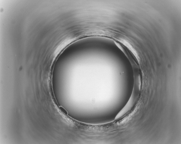 X0000087060901200704251026