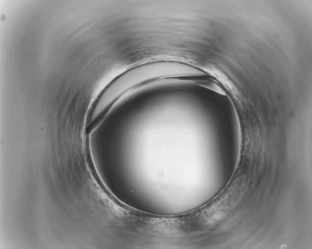 X0000087060902200704251026