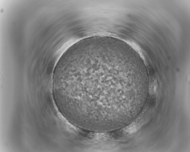 X0000087060903200704251026